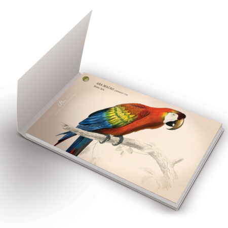 <p style="line-height: 1.2;">Vögel und ihr Gesang | Kunstvolles Vogelstimmenbuch für Kinder & Erwachsene</p><p style="font-size: 90%;"><i>Lisa Fissler</i></p> – Bild 2