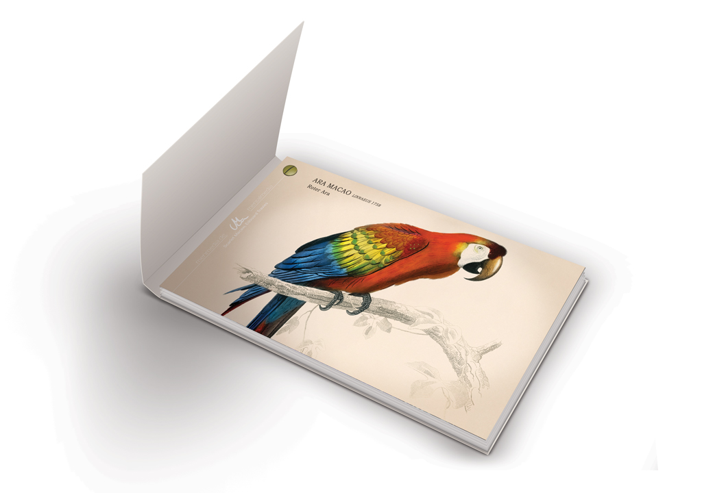 <p style="line-height: 1.2;">Vögel und ihr Gesang | Kunstvolles Vogelstimmenbuch für Kinder & Erwachsene</p><p style="font-size: 90%;"><i>Lisa Fissler</i></p> – Bild 2