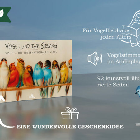 <p style="line-height: 1.2;">Vögel und ihr Gesang | Kunstvolles Vogelstimmenbuch für Kinder & Erwachsene</p><p style="font-size: 90%;"><i>Lisa Fissler</i></p> – Bild 4
