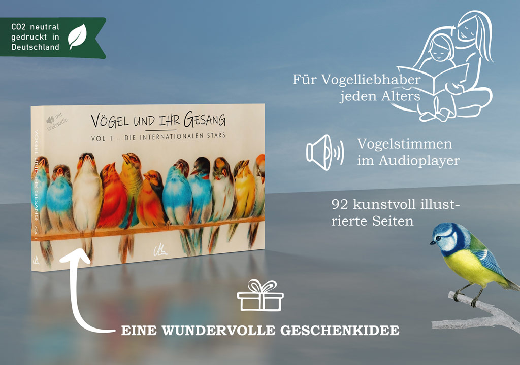 <p style="line-height: 1.2;">Vögel und ihr Gesang | Kunstvolles Vogelstimmenbuch für Kinder & Erwachsene</p><p style="font-size: 90%;"><i>Lisa Fissler</i></p> – Bild 4