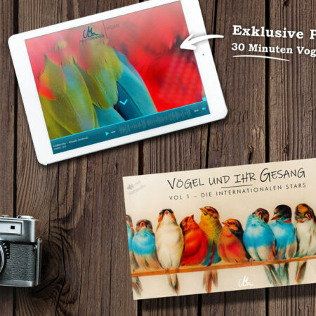 <p style="line-height: 1.2;">Vögel und ihr Gesang | Kunstvolles Vogelstimmenbuch für Kinder & Erwachsene</p><p style="font-size: 90%;"><i>Lisa Fissler</i></p> – Bild 3