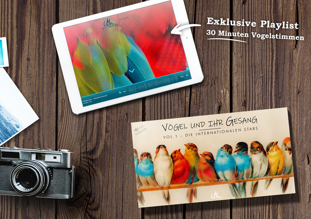 <p style="line-height: 1.2;">Vögel und ihr Gesang | Kunstvolles Vogelstimmenbuch für Kinder & Erwachsene</p><p style="font-size: 90%;"><i>Lisa Fissler</i></p> – Bild 3